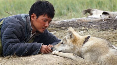 fmovie wolf totem|chinese wolf movie.